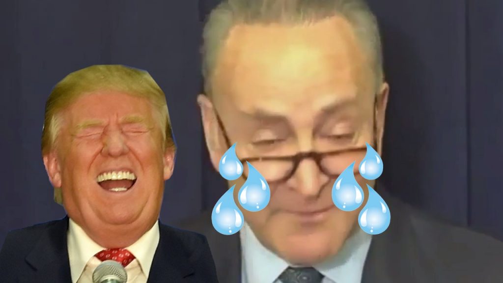 Schumer Epic Fail