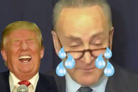 Schumer Epic Fail