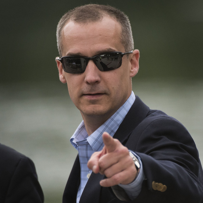 Corey Lewandowski on Joe Biden