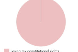 constitutional rights graph