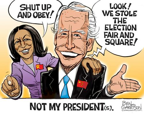 not-my-president.jpg
