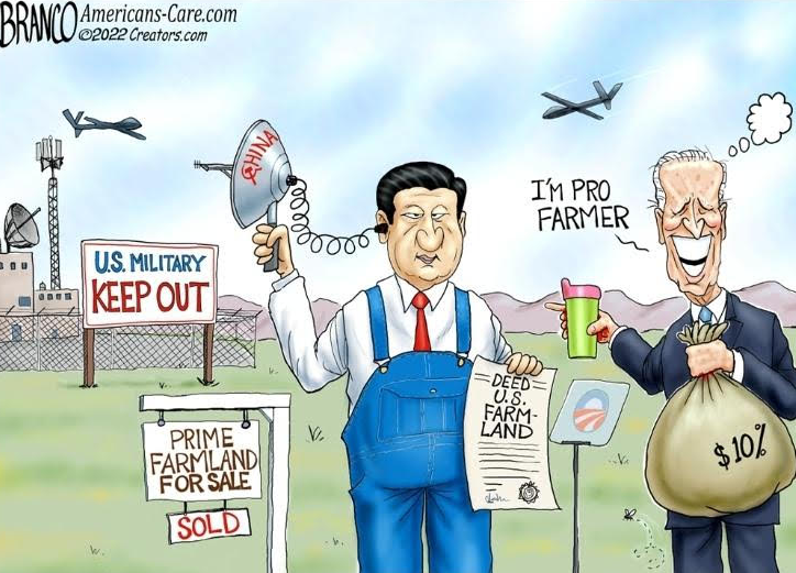 CHINA-CARTOON.png