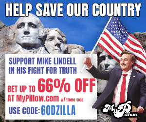 my-pillow-help-mike-lindell-300-x-250.jpg