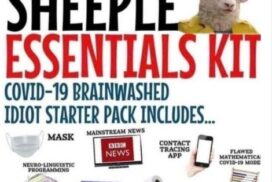 sheeple essentials kit